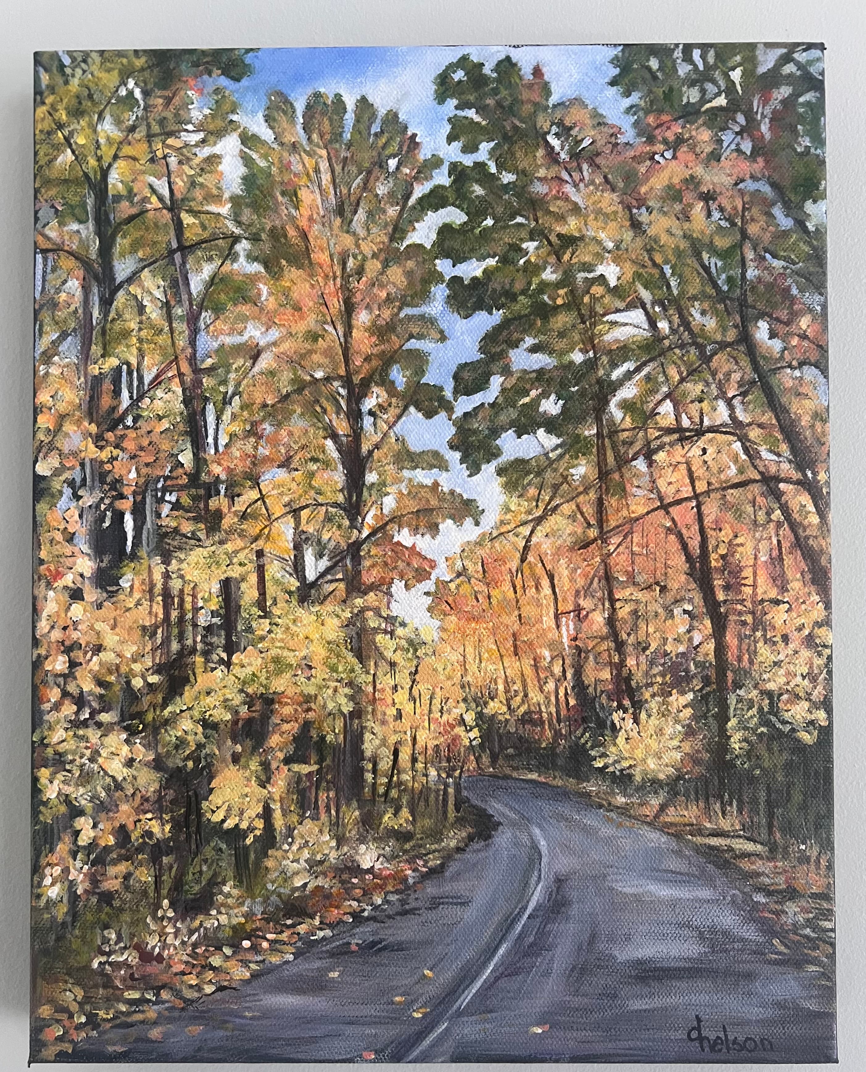 Vermillion Lakes Road