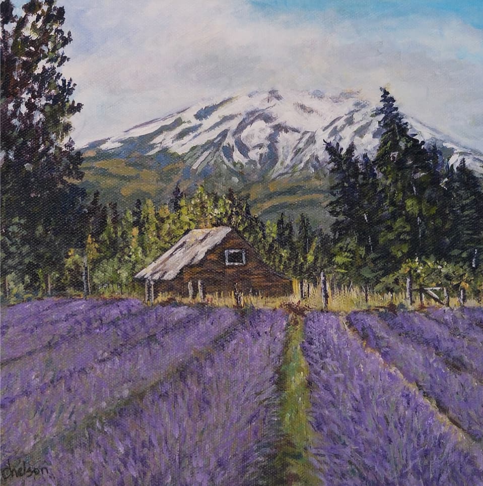 Lavender Fields